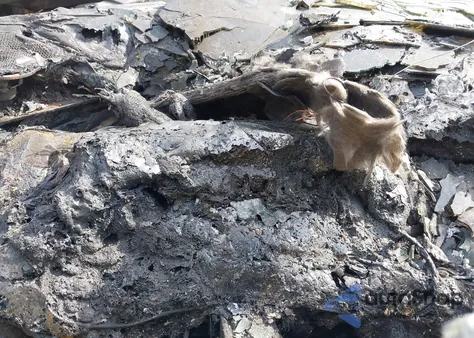 2015 Dodge Dart Sxt from USA, damaged, VIN 1C3CDFBB3FD373705